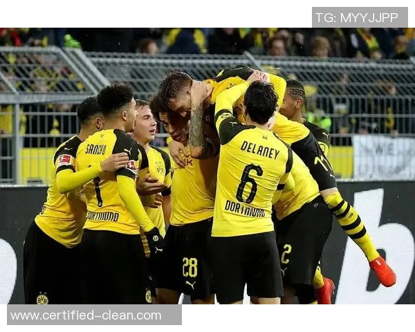 欧冠激战：多特蒙德狂胜本菲卡五球大捷引发全场狂欢