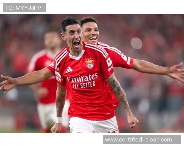 英超：本菲卡3-0切尔西！帽子戏法瞬间引爆全场十大进球