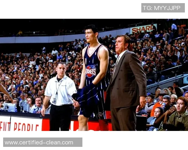 姚明薪水表揭秘：NBA巨星背后的收入与成就分析