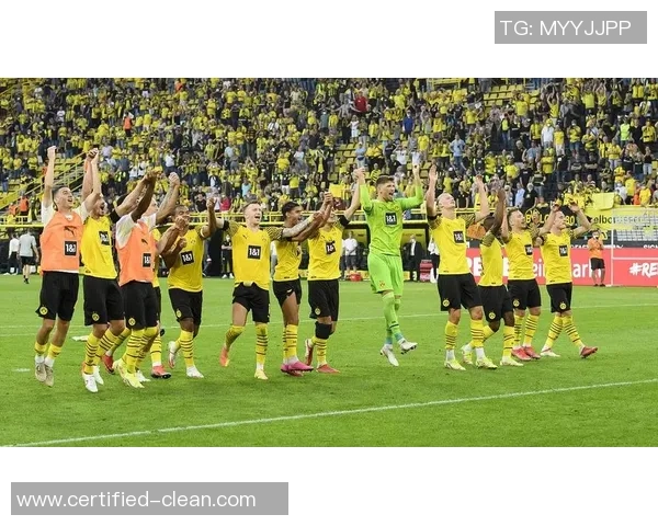 德甲焦点战：皇马小胜多特蒙德全场沸腾数据分析引发热议